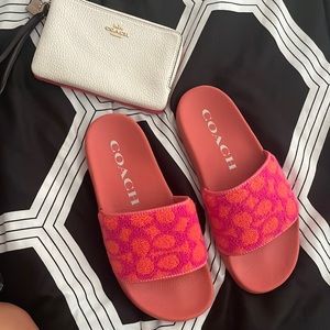 Coach slides size 6